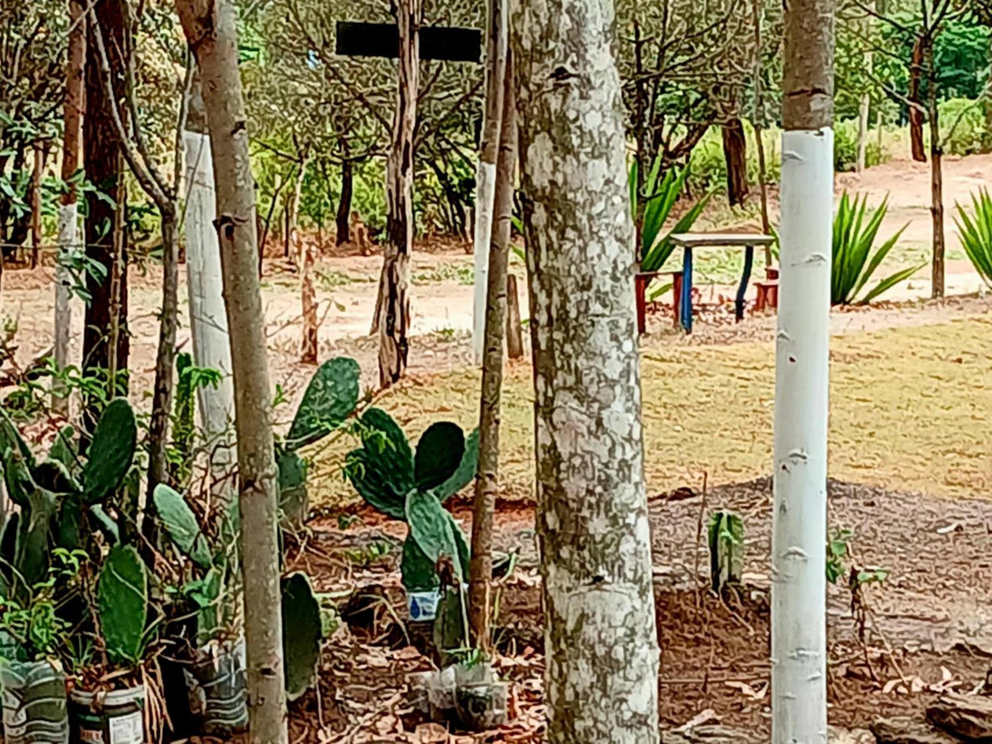Camping Avohai São Tomé das Letras Exterior foto